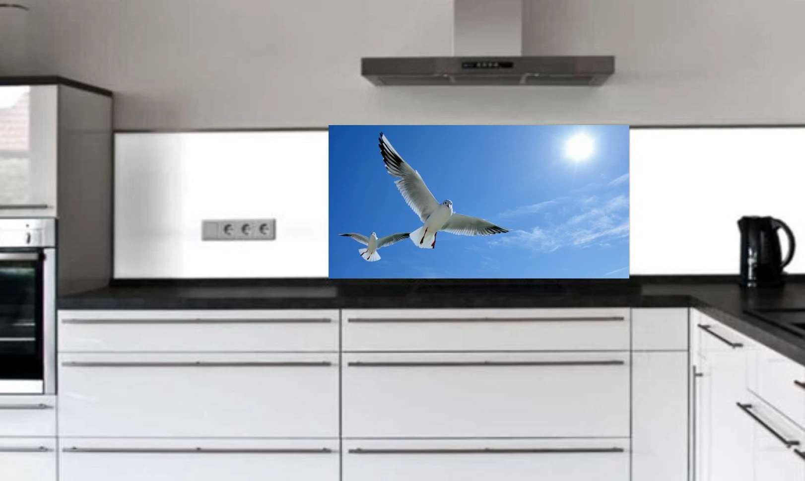 Küchenrückwand aus ESG Glas Glasbild mit Motiv Möwen in 4 mm, 6 mm oder 8 mm nach Maß gefertigt