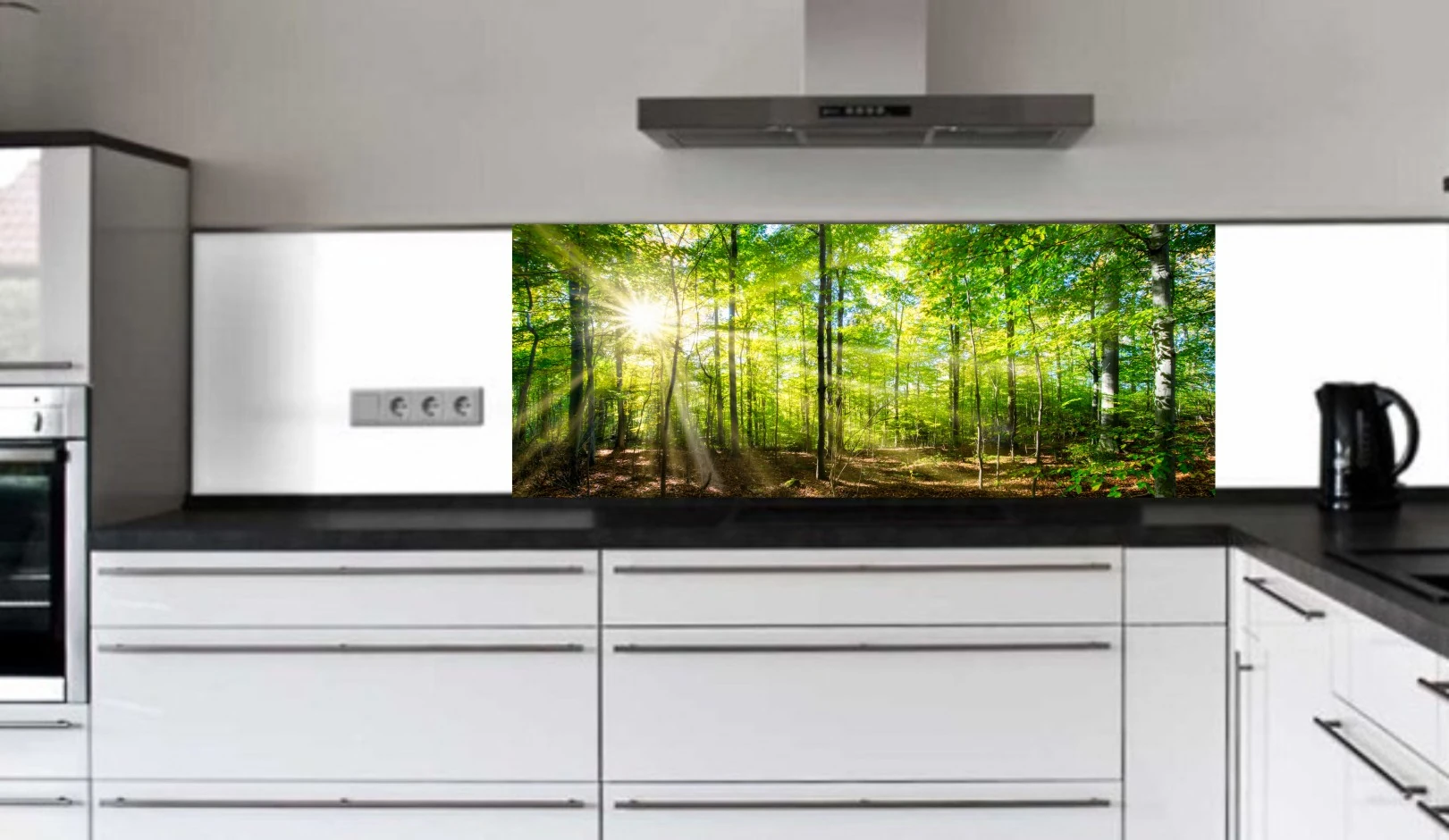 Küchenrückwand aus ESG Glas Glasbild mit Motiv Wald in 4 mm, 6 mm oder 8 mm nach Maß gefertigt