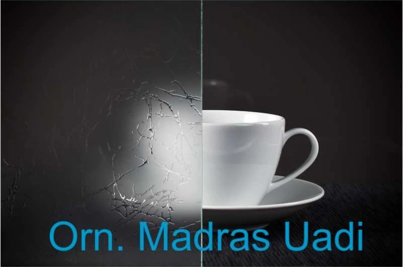 Glaspendeltür aus ESG Glas Ornamentglas Madras Uadi als moderne Innentür