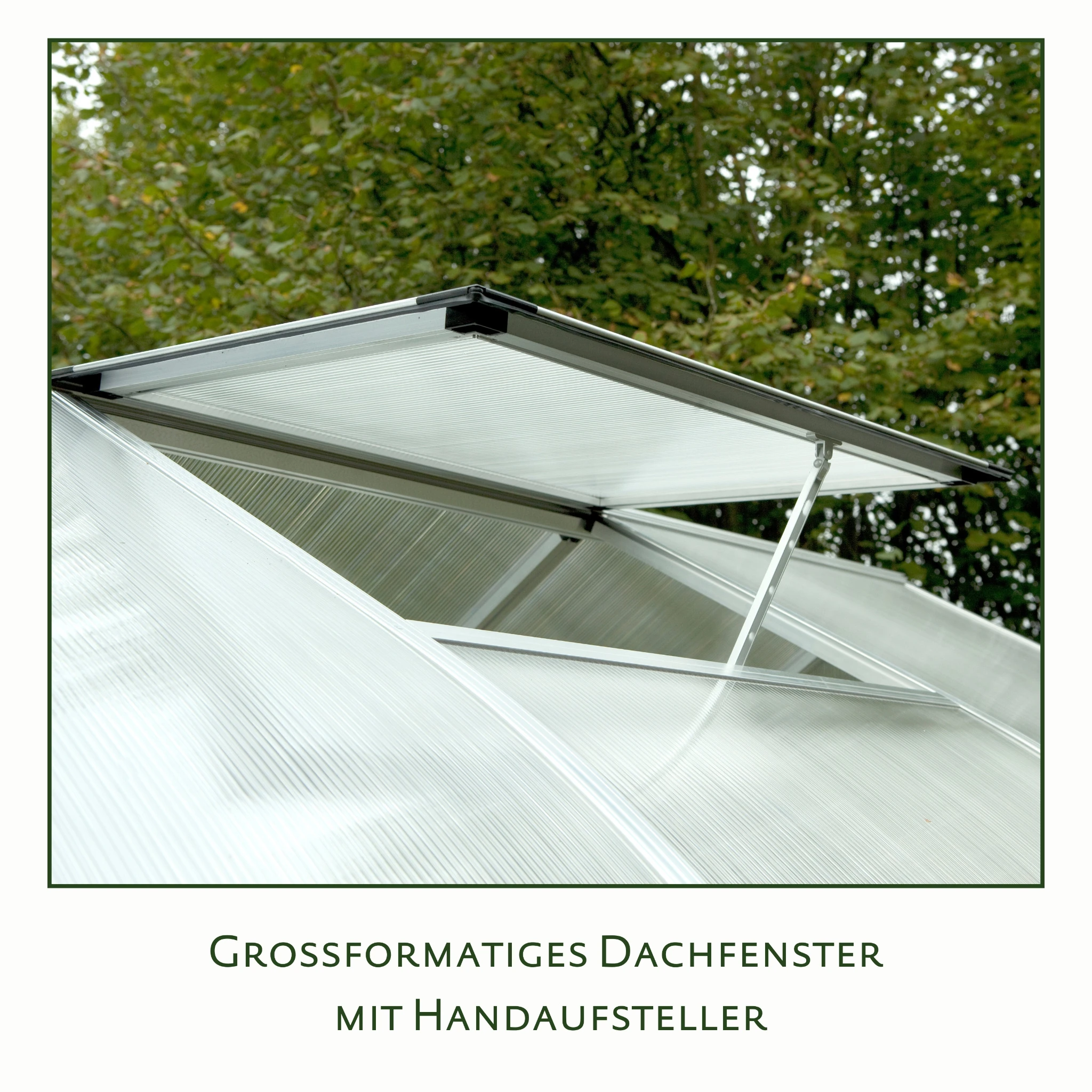 Gewächshaus aus Aluminium und Kunststoff HKP als langlebiges Gewächshaus Rhodo IV für Gartenpflanzen